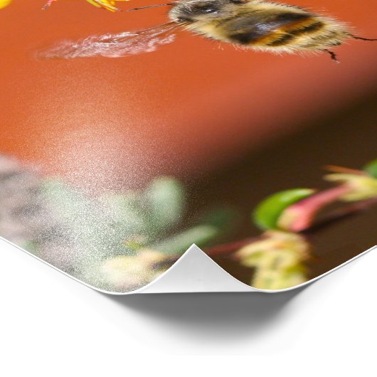 De gelukkige bijen foto afdruk (Hoek)