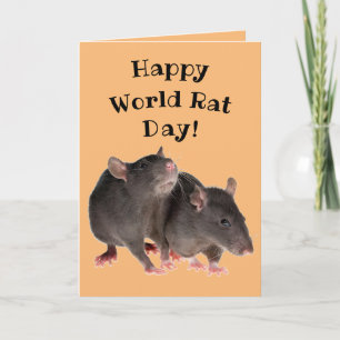 De gelukkige Dag van de Rat van de Wereld! - 4 Kaart