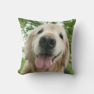 De gelukkige Hond van het Golden retriever buiten Kussen
