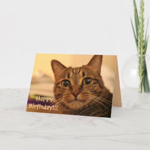 De gelukkige Kaart van de Kat van de Gestreepte