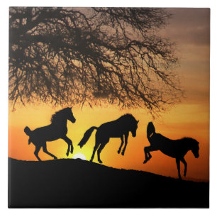 De gelukkige Tegel van de Kunst van Paarden Tegeltje