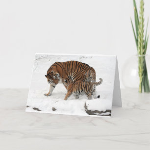 De gelukkige Tijger & de Welp van de Papa van de Kaart