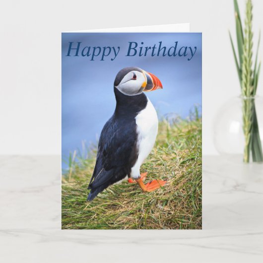 De Gelukkige Verjaardag van de papegaaiduiker Kaart (Voorkant)
