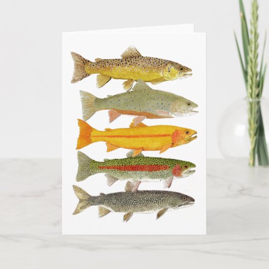 De gemeenschappelijke Forel van Pennsylvania Kaart (Voorkant)