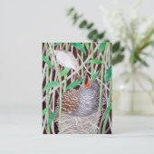 De gemeenschappelijke koekoek briefkaart (Staand voorkant)