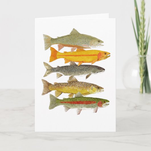 De gemeenschappelijke Species van de Forel van het Kaart (Voorkant)