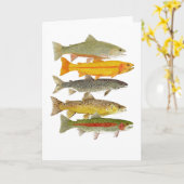 De gemeenschappelijke Species van de Forel van het Kaart (Gele Bloem)