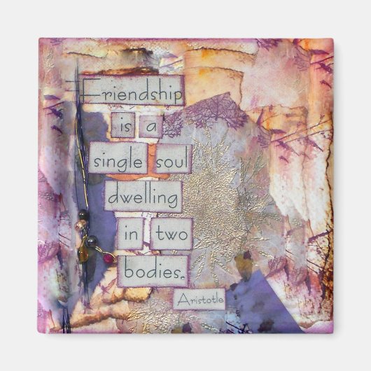 De gemengde vriendschap van de Kunst van Media is  Magneet (Voorkant)