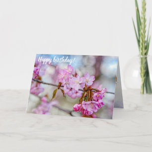 De gemuteerde schoonheid van Sakura-bloesems in Sp Kaart