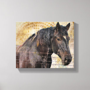 De Gentle One Canvas Afdruk