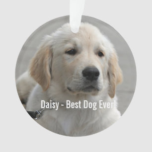 De gepersonaliseerde Foto en de Naam van de Hond Ornament