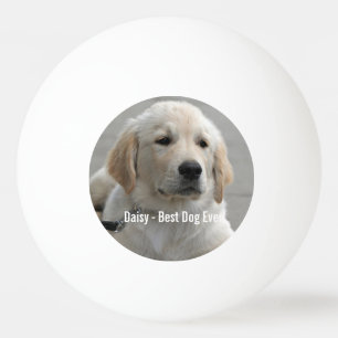 De gepersonaliseerde Foto en de Naam van de Hond Pingpongballen
