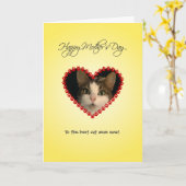 De gepersonaliseerde Moederdag van het kattenmamma Kaart (Gele Bloem)