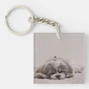De Gepersonaliseerde Sleutelhanger van tzu Shih,