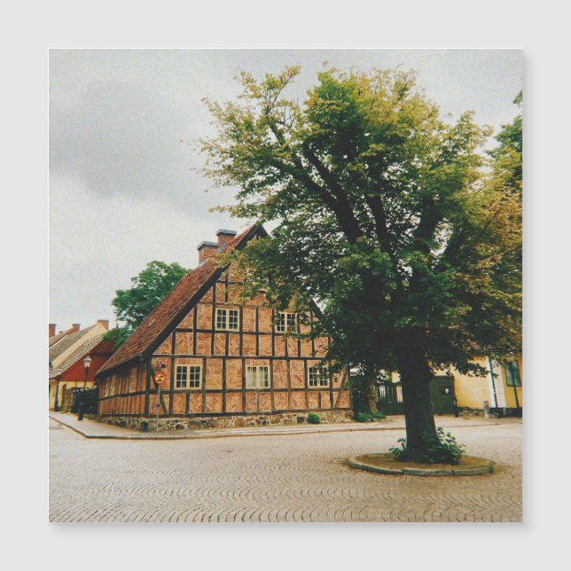 De geplaveide straten van Malmö City (Voorkant)