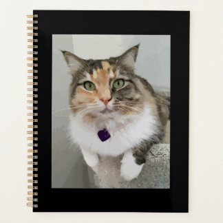 De geschilderde Calico Queen Planner