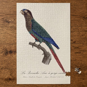 De geschilderde parkiet, Pyrrhura picta Legpuzzel