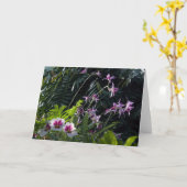 De Gevlekte Orchideeën van de zon Kaart (Gele Bloem)