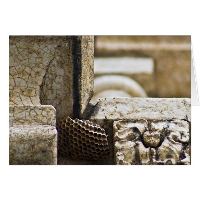 De geweldige architecten (Voorkant Horizontaal)