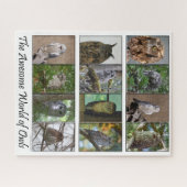 De Geweldige Wereld der Eigenaren Puzzle Legpuzzel (Horizontaal)