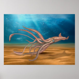 DE GIANT SQUID POSTER