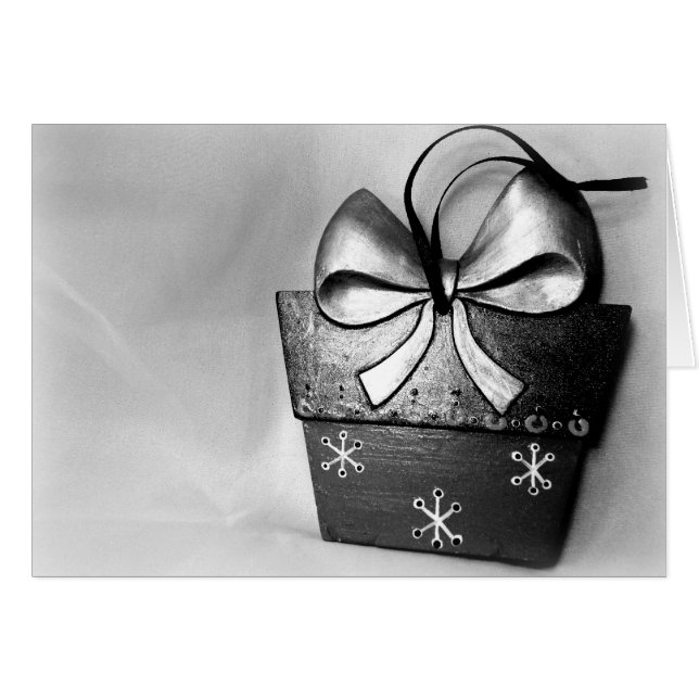 De Gift van sneeuwvlokken (Voorkant Horizontaal)