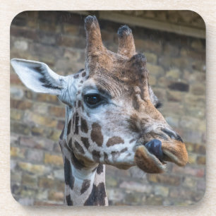 De girafe dessous de verre étroits