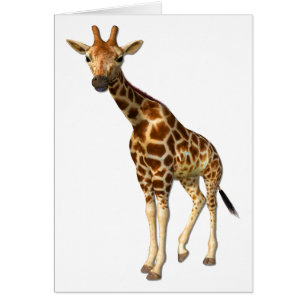 De Giraffe
