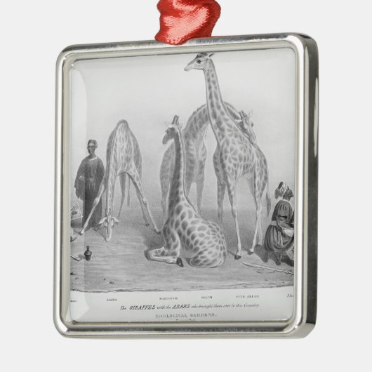 De Giraffes met de Arabieren Metalen Ornament (Links)