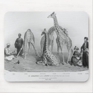 De Giraffes met de Arabieren Muismat