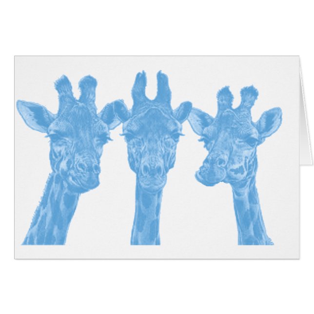 DE GIRAFFES VAN DE SKY (Voorkant Horizontaal)