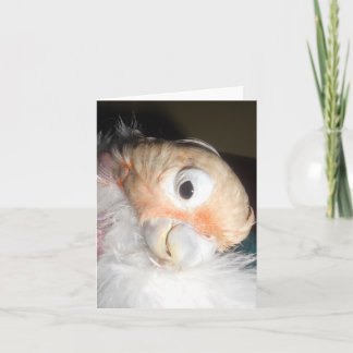 De Glamour van Ella Kaart