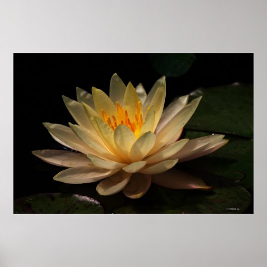 De gloed poster (Voorkant)