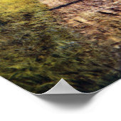 De glorie van de herfstbomen poster (Hoek)