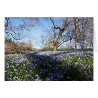 De glorie van lente-Kaart