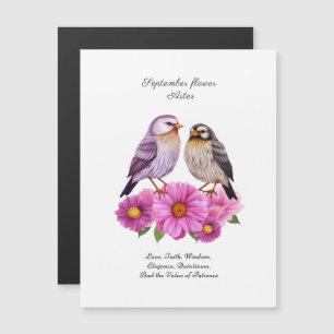 De glorieuze bloem van september - Aster