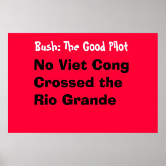 De goede piloot poster