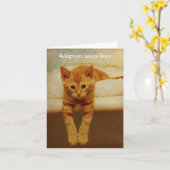 De goedkeuring bewaart het Leven Oranje Katje Kaart (Gele Bloem)