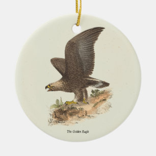 De Golden Eagle (Aquila chrysaetos) NY Bird Afbeel Keramisch Ornament