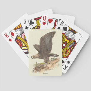 De Golden Eagle (Aquila chrysaetos) NY Bird Afbeel Pokerkaarten