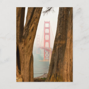 De Golden Gate Bridge   Bomen uit Uitzicht over de Briefkaart