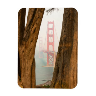 De Golden Gate Bridge Bomen uit Uitzicht over de Magneet