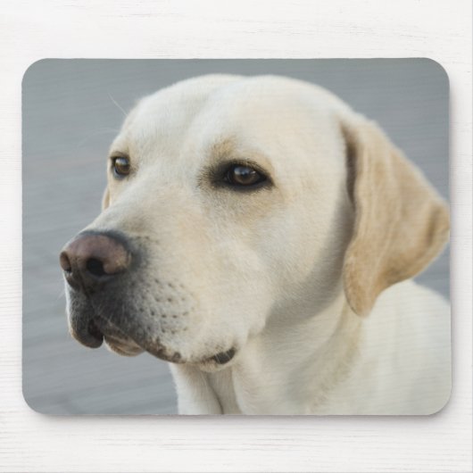 De Golden Labrador Muismat (Voorkant)