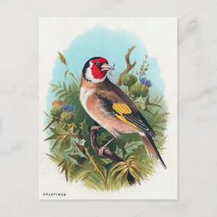 De Goldfinch Briefkaart