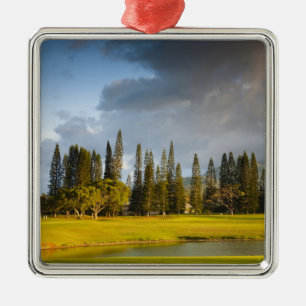 De golfbaan Makai in Princeville Metalen Ornament