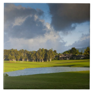 De golfbaan Makai in Princeville Tegeltje