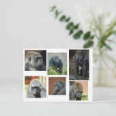 De Gorilla Troop Briefkaart (Staand voorkant)