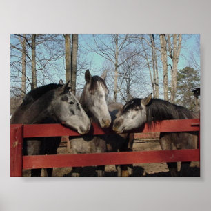 De Gossip Corner Poster