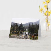 De Gouden Eeuw Kaart (Gele Bloem)