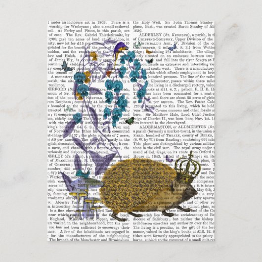 De gouden egel briefkaart (Voorkant)